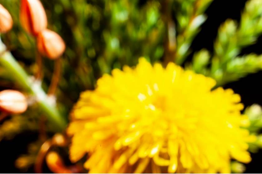 Werkproces bloemen