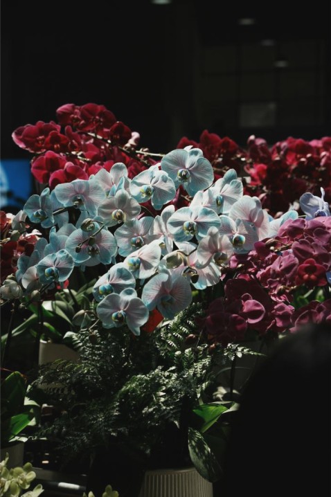 Bezorging bloemen